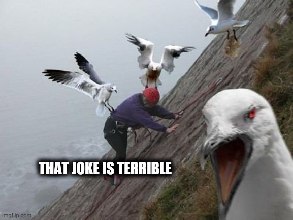Bird Attack | THAT JOKE IS TERRIBLE | image tagged in bird attack | made w/ Imgflip meme maker