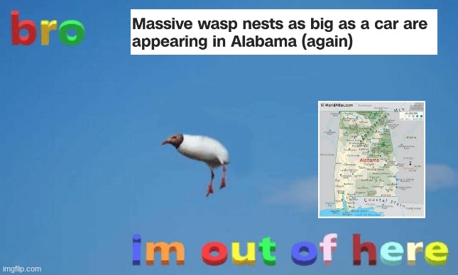 bro im out of here | image tagged in bro im out of here | made w/ Imgflip meme maker