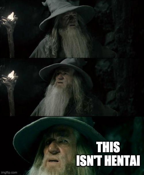 Confused Gandalf | THIS ISN'T HENTAI | image tagged in memes,confused gandalf | made w/ Imgflip meme maker