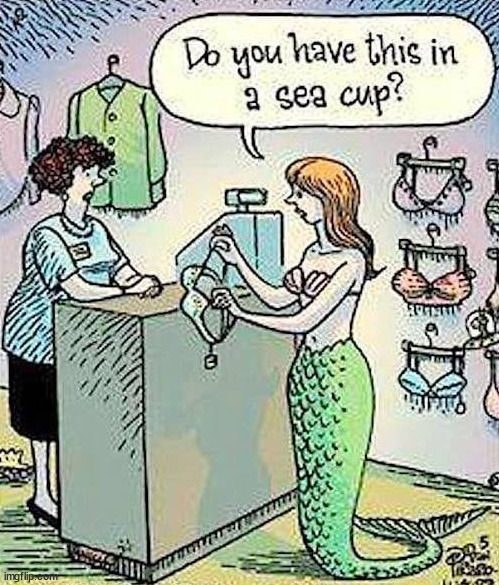 Mermaid problems. | image tagged in comics/cartoons | made w/ Imgflip meme maker
