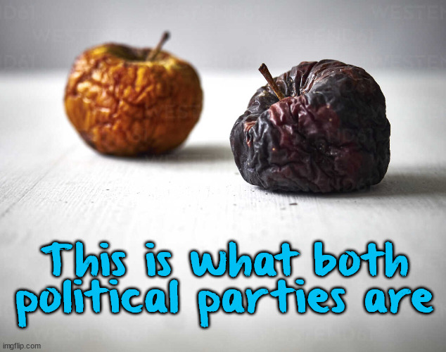 Both political parties are rotting | This is what both political parties are | image tagged in rotten apples let's have a do over | made w/ Imgflip meme maker