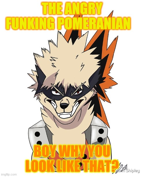 fuek | THE ANGRY FUNKING POMERANIAN; BOY WHY YOU LOOK LIKE THAT? | made w/ Imgflip meme maker