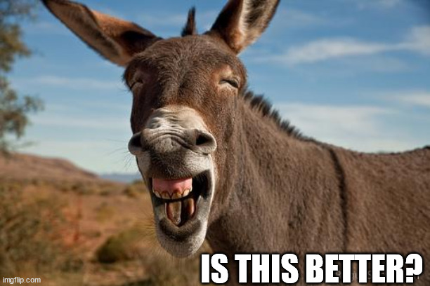 Donkey Jackass Braying | IS THIS BETTER? | image tagged in donkey jackass braying | made w/ Imgflip meme maker