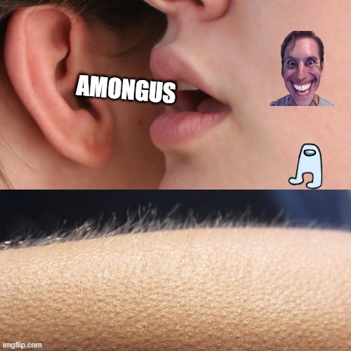 Whisper and Goosebumps | AMONGUS | image tagged in whisper and goosebumps | made w/ Imgflip meme maker