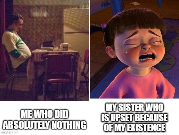 dont know if this is relatable |  MY SISTER WHO IS UPSET BECAUSE OF MY EXISTENCE; ME WHO DID ABSOLUTELY NOTHING | image tagged in blank white template,sad man,boo,crying boo | made w/ Imgflip meme maker