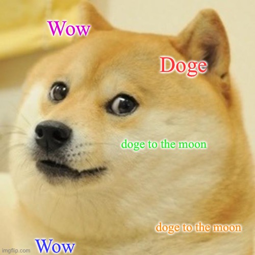 Doge Meme | Wow Doge doge to the moon Wow doge to the moon | image tagged in memes,doge | made w/ Imgflip meme maker