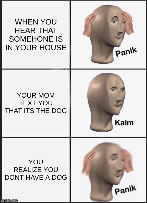 DOG Panik | WHEN YOU HEAR THAT SOMEHONE IS IN YOUR HOUSE; YOUR MOM TEXT YOU THAT ITS THE DOG; YOU REALIZE YOU DONT HAVE A DOG | image tagged in memes,panik kalm panik | made w/ Imgflip meme maker