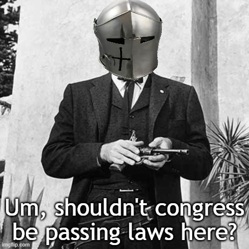Um, shouldn't congress be passing laws here? | made w/ Imgflip meme maker
