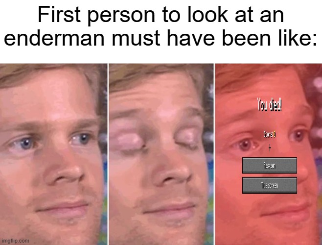lol | First person to look at an enderman must have been like: | image tagged in blinking white guy,minecraft,enderman | made w/ Imgflip meme maker