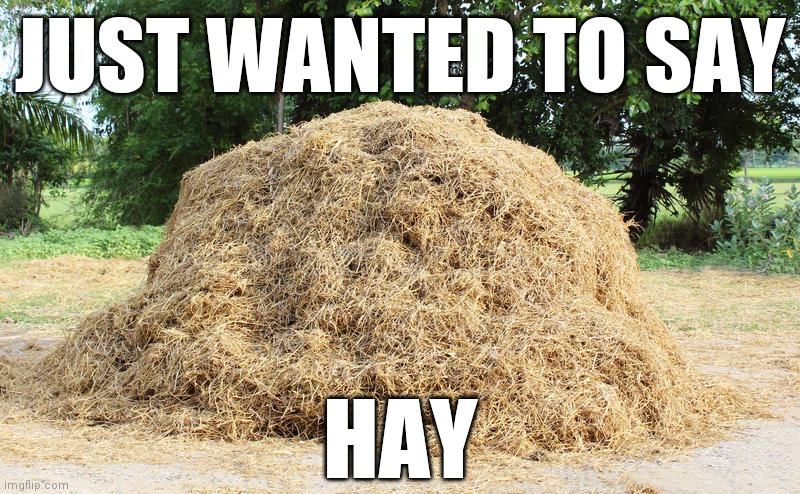 I wanted to say Hay | JUST WANTED TO SAY; HAY | image tagged in funny | made w/ Imgflip meme maker