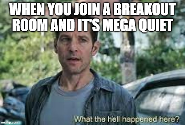 my first meme UwU |  WHEN YOU JOIN A BREAKOUT ROOM AND IT'S MEGA QUIET | image tagged in virtual shool | made w/ Imgflip meme maker