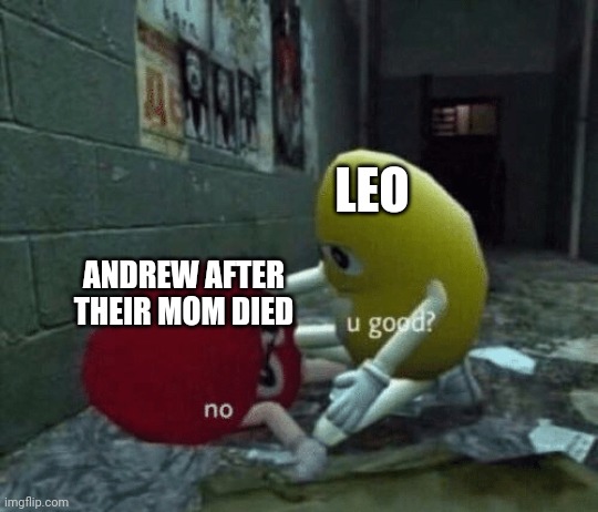 Andrew went from happy child to sad quiet kid immediately after her death and basically stayed like that until he was like 15- | LEO; ANDREW AFTER THEIR MOM DIED | image tagged in you good | made w/ Imgflip meme maker