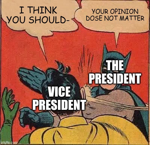 Batman Slapping Robin | I THINK YOU SHOULD-; YOUR OPINION DOSE NOT MATTER; THE PRESIDENT; VICE PRESIDENT | image tagged in memes,batman slapping robin | made w/ Imgflip meme maker