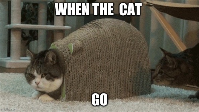 LIKE IT | WHEN THE  CAT; GO | image tagged in the cat | made w/ Imgflip meme maker