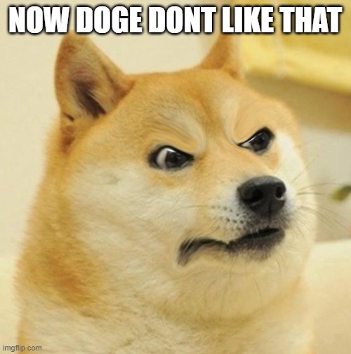 Confused Angery Doge | NOW DOGE DONT LIKE THAT | image tagged in confused angery doge | made w/ Imgflip meme maker