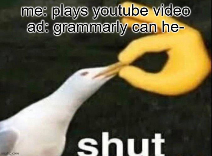SHUT | me: plays youtube video
ad: grammarly can he- | image tagged in shut | made w/ Imgflip meme maker