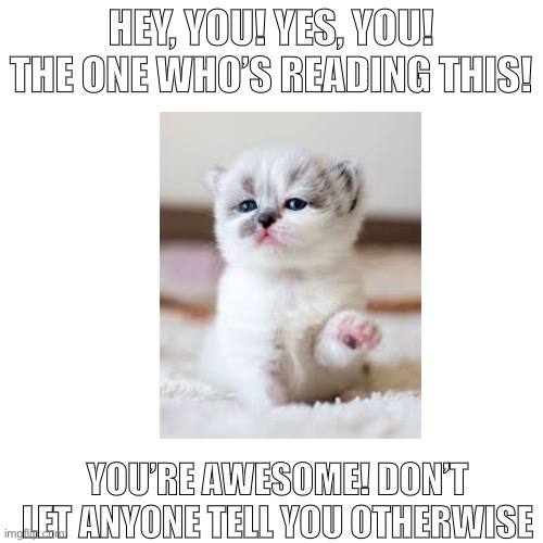 listen to the cat | HEY, YOU! YES, YOU! THE ONE WHO’S READING THIS! YOU’RE AWESOME! DON’T LET ANYONE TELL YOU OTHERWISE | image tagged in memes,cats,funny,funny memes,meme,cute | made w/ Imgflip meme maker