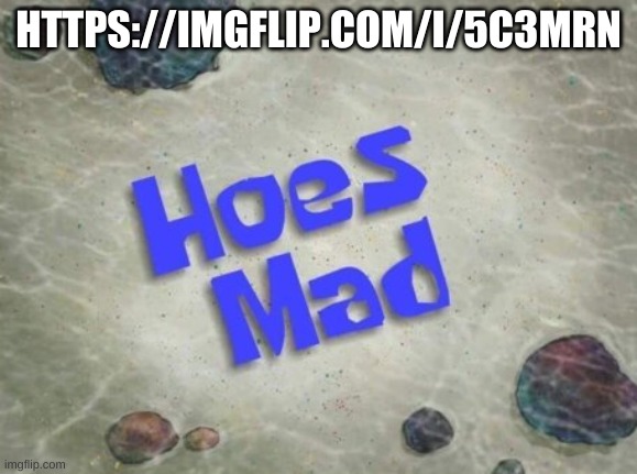 https://imgflip.com/i/5c3mrn | HTTPS://IMGFLIP.COM/I/5C3MRN | image tagged in hoes mad | made w/ Imgflip meme maker