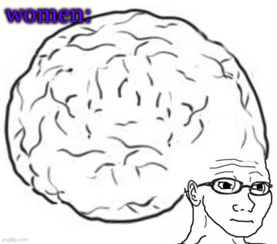 Big Brain | women: | image tagged in big brain | made w/ Imgflip meme maker
