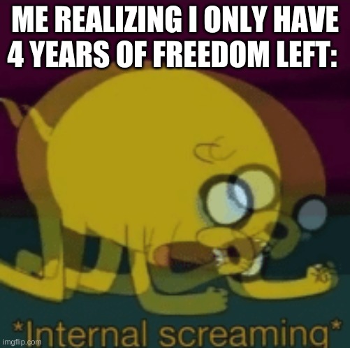 Jake The Dog Internal Screaming | ME REALIZING I ONLY HAVE 4 YEARS OF FREEDOM LEFT: | image tagged in jake the dog internal screaming | made w/ Imgflip meme maker