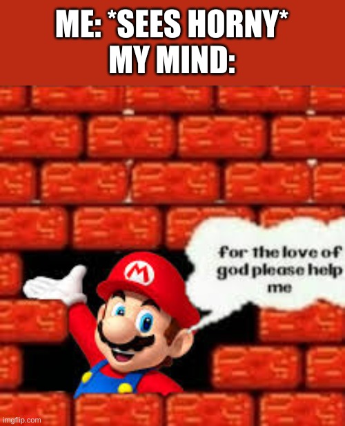 Me In A Nutshell(REACTION TO HORNY) | ME: *SEES HORNY*
MY MIND: | made w/ Imgflip meme maker