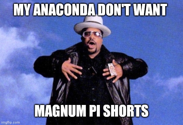 Sir Mix A Lot | MY ANACONDA DON'T WANT; MAGNUM PI SHORTS | image tagged in sir mix a lot | made w/ Imgflip meme maker