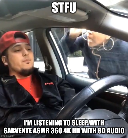 stfu im listening to | STFU; I'M LISTENING TO SLEEP WITH SARVENTE ASMR 360 4K HD WITH 8D AUDIO | image tagged in stfu im listening to | made w/ Imgflip meme maker