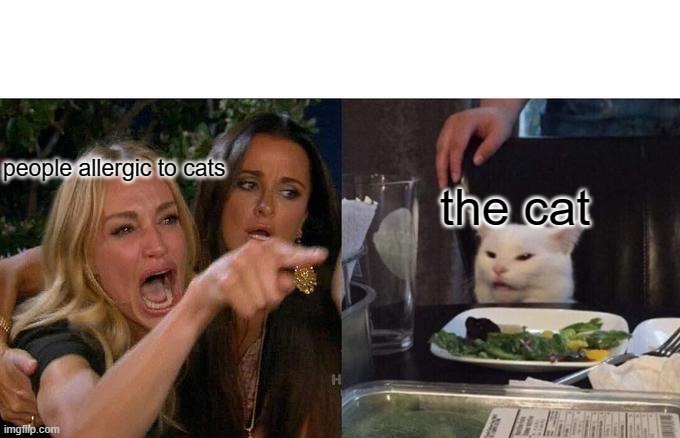 Welp... | people allergic to cats; the cat | image tagged in memes,woman yelling at cat | made w/ Imgflip meme maker