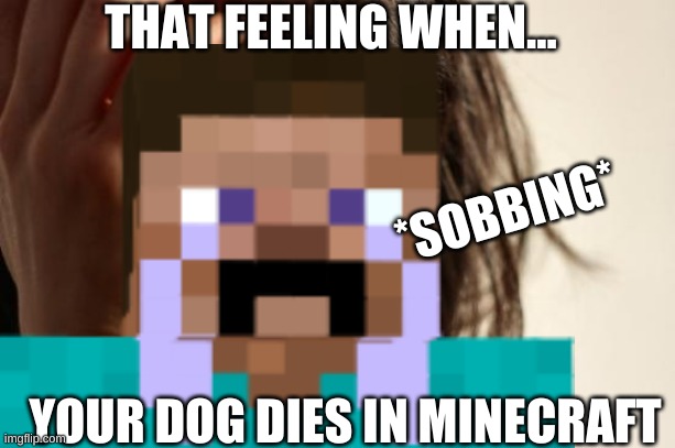the truth | THAT FEELING WHEN... *SOBBING*; YOUR DOG DIES IN MINECRAFT | image tagged in memes | made w/ Imgflip meme maker