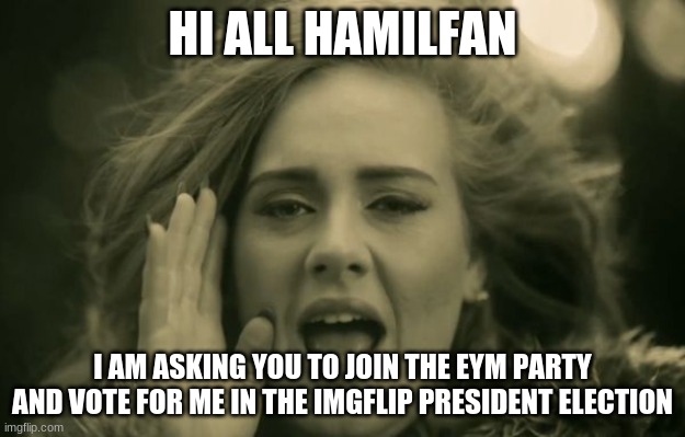 adele hello | HI ALL HAMILFAN; I AM ASKING YOU TO JOIN THE EYM PARTY AND VOTE FOR ME IN THE IMGFLIP PRESIDENT ELECTION | image tagged in adele hello | made w/ Imgflip meme maker