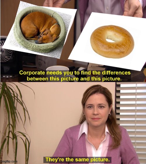 Delicious Dog | image tagged in memes,they're the same picture | made w/ Imgflip meme maker