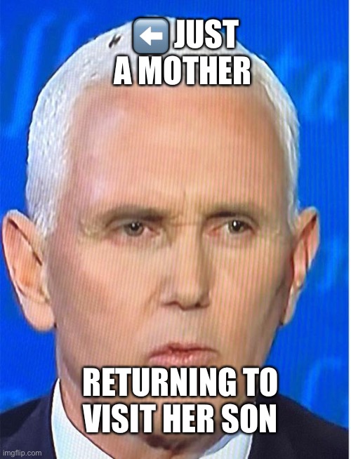 Pence Maggot | ⬅️ JUST A MOTHER; RETURNING TO VISIT HER SON | image tagged in mike pence | made w/ Imgflip meme maker