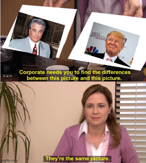 They're The Same Picture | image tagged in memes,they're the same picture,politics,trump is a crook,maga,donald trump is an idiot | made w/ Imgflip meme maker