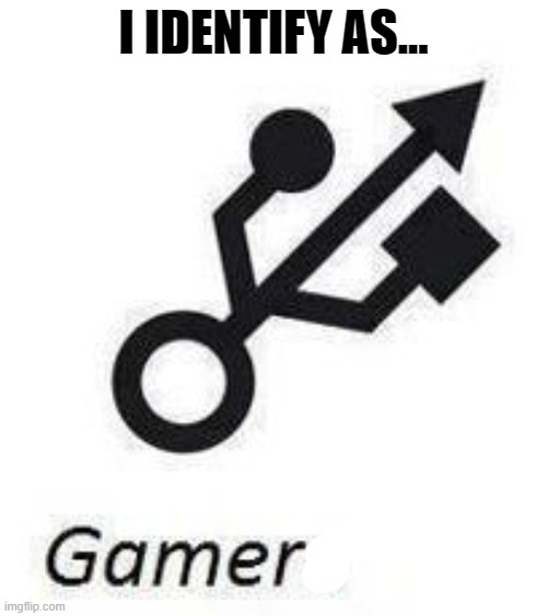 Gamegender xD | I IDENTIFY AS... | image tagged in gaymer,lgbt,gamer,pun,memes | made w/ Imgflip meme maker