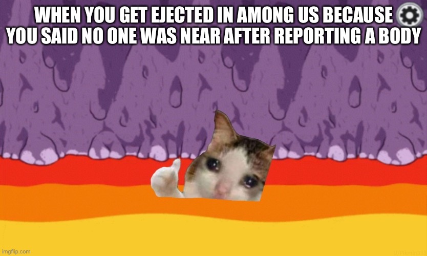 the system failed me | WHEN YOU GET EJECTED IN AMONG US BECAUSE YOU SAID NO ONE WAS NEAR AFTER REPORTING A BODY | image tagged in sad cat among us | made w/ Imgflip meme maker