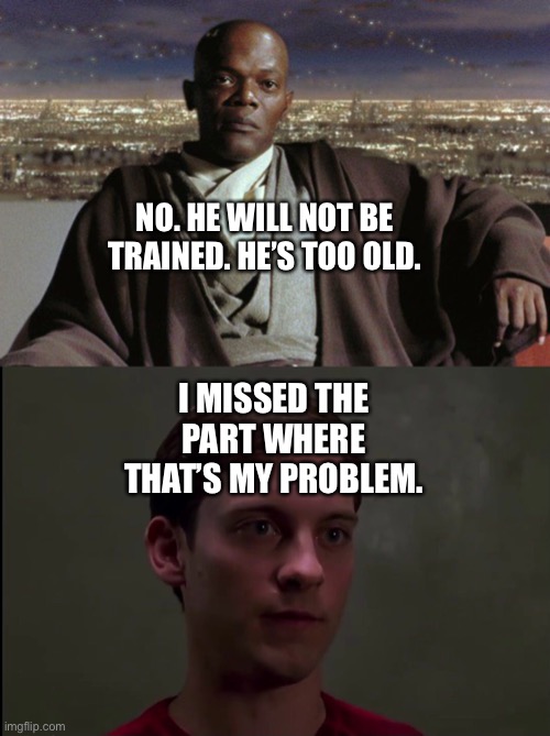Peter Parker stands up to Mace Windu for him refusing to have Anakin Skywalker trained as a Jedi | NO. HE WILL NOT BE TRAINED. HE’S TOO OLD. I MISSED THE PART WHERE THAT’S MY PROBLEM. | image tagged in star wars,spiderman peter parker | made w/ Imgflip meme maker
