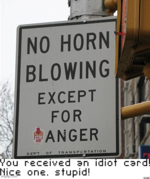 Bruh...come on people | image tagged in horn,street,streets,you received an idiot card,meme,memes | made w/ Imgflip meme maker
