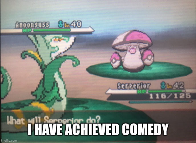 I have achieved comedy | I HAVE ACHIEVED COMEDY | made w/ Imgflip meme maker