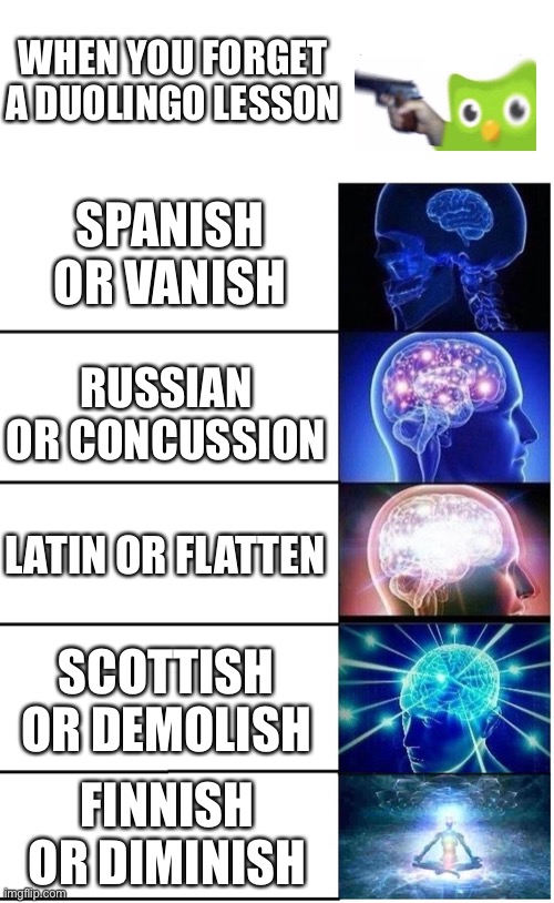 It looks like you forgot your Spanish lesson. You know what happens next... | WHEN YOU FORGET A DUOLINGO LESSON; SPANISH OR VANISH; RUSSIAN OR CONCUSSION; LATIN OR FLATTEN; SCOTTISH OR DEMOLISH; FINNISH OR DIMINISH | image tagged in expanding brain 5 panel | made w/ Imgflip meme maker