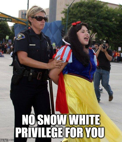 No Snow White Privilege for you  | NO SNOW WHITE PRIVILEGE FOR YOU | image tagged in no snow white privilege for you | made w/ Imgflip meme maker