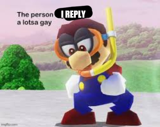 I REPLY | image tagged in the person below gots a lotsa gay | made w/ Imgflip meme maker