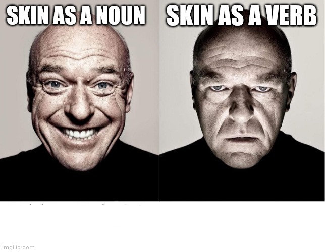 skin | SKIN AS A VERB; SKIN AS A NOUN | image tagged in breaking bad smile frown | made w/ Imgflip meme maker