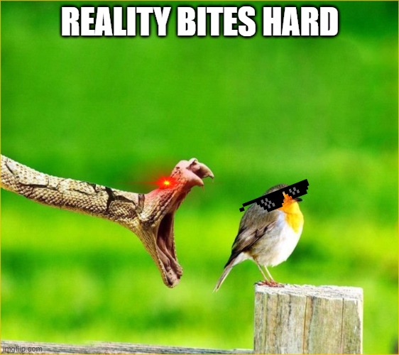 Snake Reality Bites | REALITY BITES HARD | image tagged in snake reality bites | made w/ Imgflip meme maker