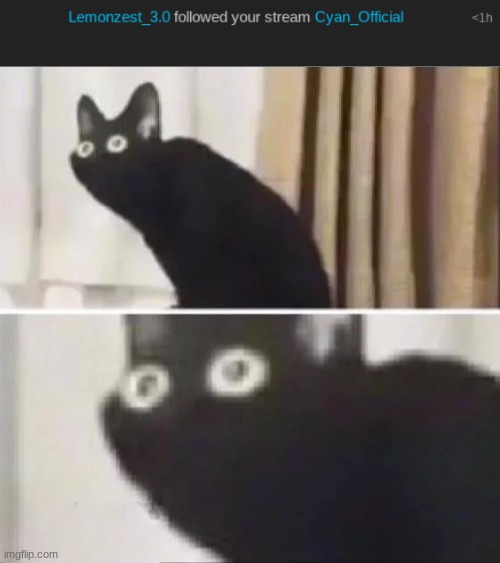 UGHHHHHHH NOT AGAIN | made w/ Imgflip meme maker