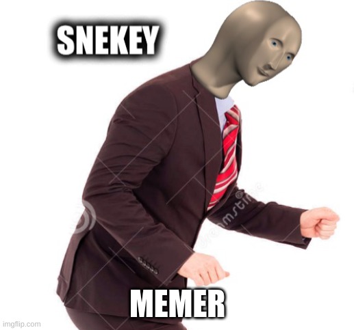 Snekey meme | MEMER | image tagged in snekey meme | made w/ Imgflip meme maker