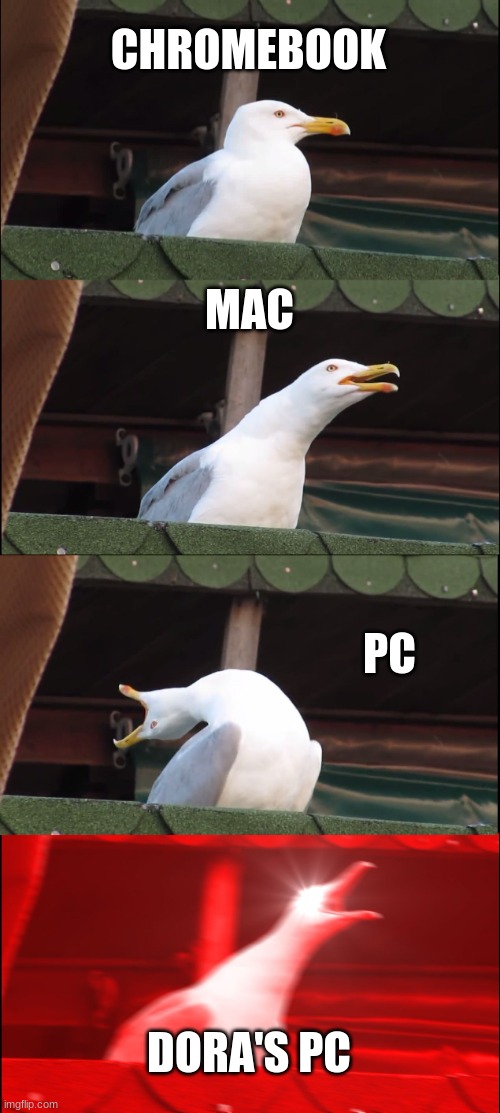PC | CHROMEBOOK; MAC; PC; DORA'S PC | image tagged in memes,inhaling seagull | made w/ Imgflip meme maker