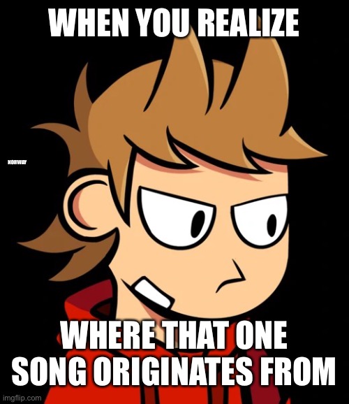 Disappointed Tord | WHEN YOU REALIZE WHERE THAT ONE SONG ORIGINATES FROM NORWAY | image tagged in disappointed tord | made w/ Imgflip meme maker