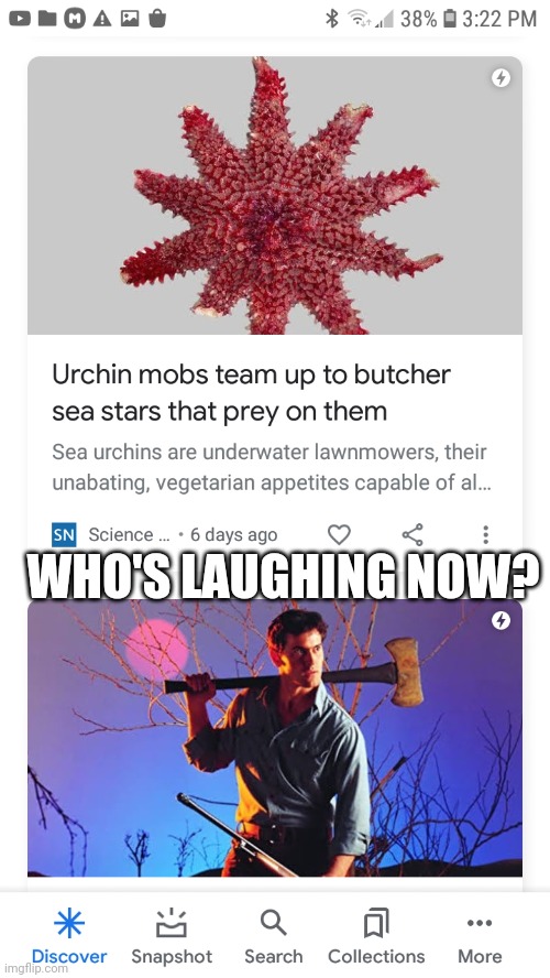 Who's Laughing Now, Urchin? | WHO'S LAUGHING NOW? | image tagged in urchin mobs ash news duo,ash vs evil dead | made w/ Imgflip meme maker