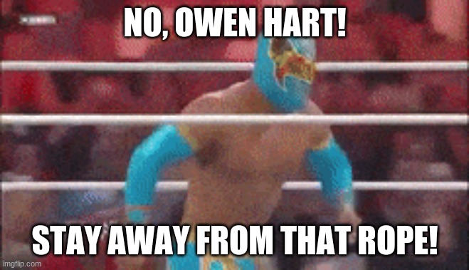 NO, OWEN HART! STAY AWAY FROM THAT ROPE! | image tagged in wwe,funny,meme,niche | made w/ Imgflip meme maker