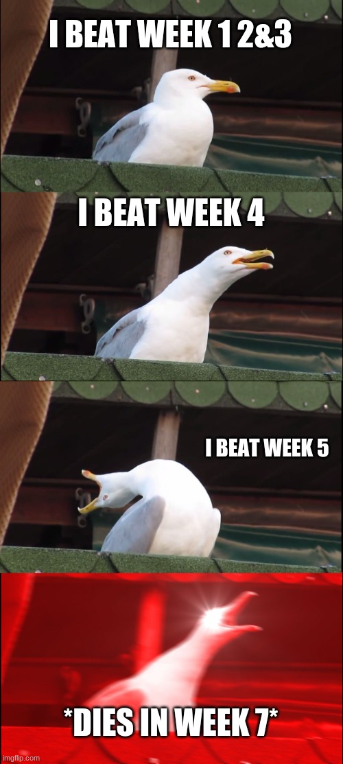 Inhaling Seagull Meme | I BEAT WEEK 1 2&3; I BEAT WEEK 4; I BEAT WEEK 5; *DIES IN WEEK 7* | image tagged in memes,inhaling seagull | made w/ Imgflip meme maker